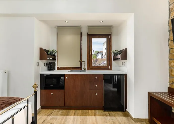 Arxontariki Guest house